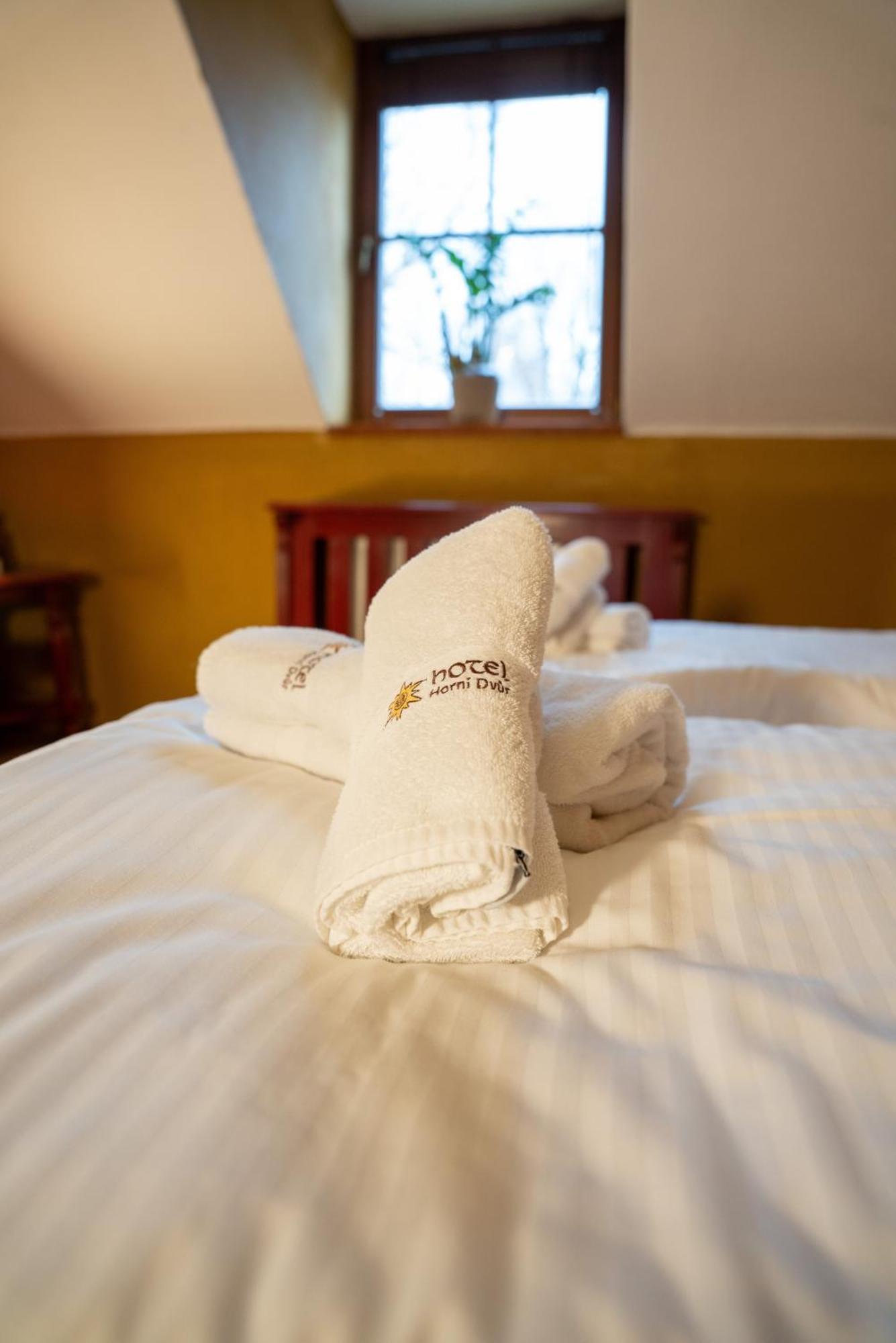 Hotel Horni Dvur Nove Mesto na Morave Buitenkant foto